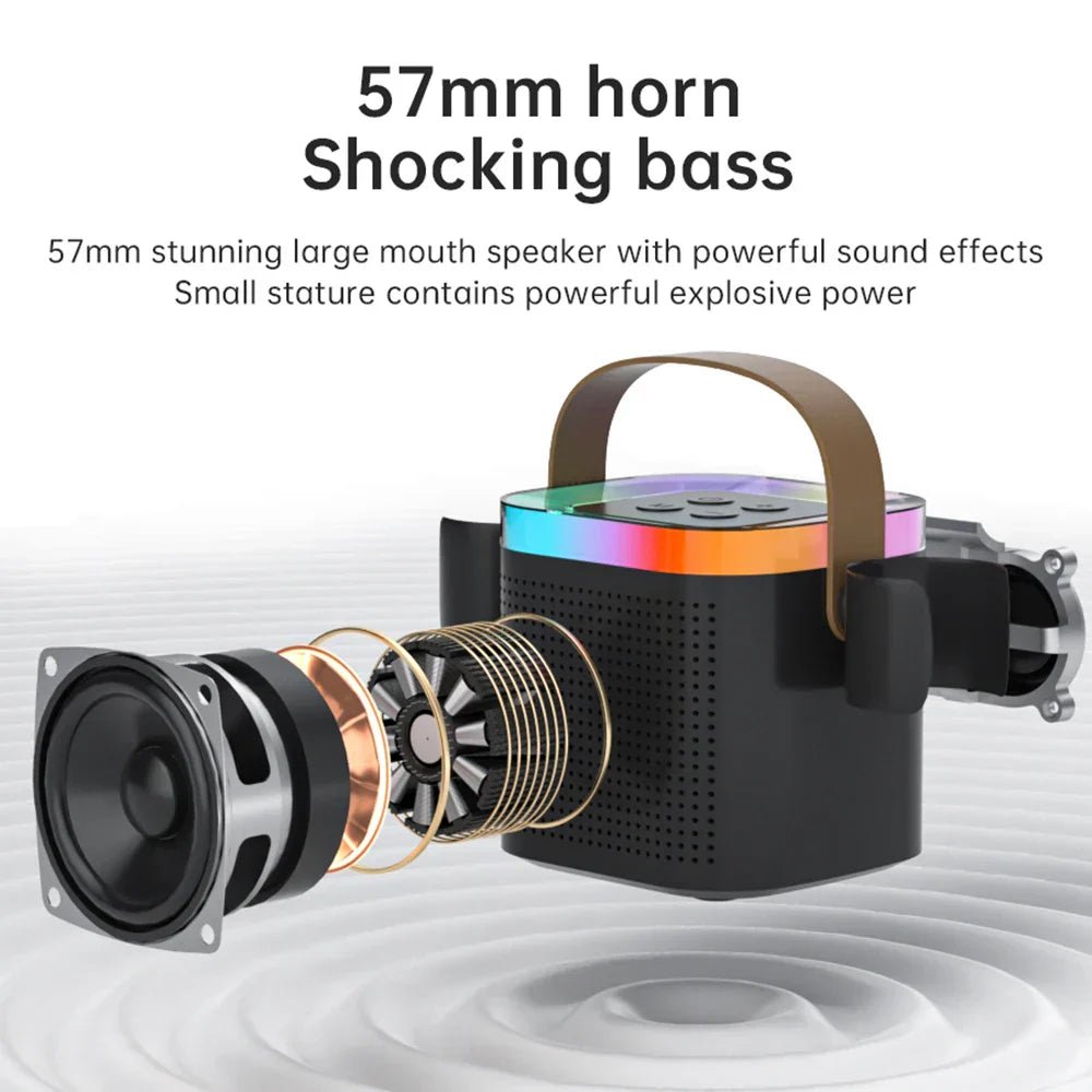Portable Bluetooth Karaoke Speaker System with Microphones - Big Mike
